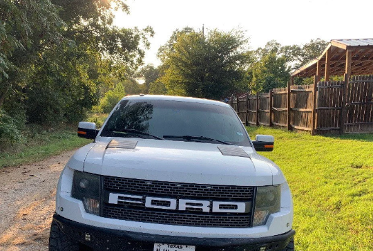 2010-2014 F-150 SVT Raptor Ford Grill Insert Graphics Stickers Decals