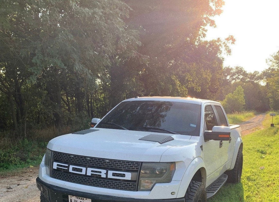 WHITE - 2010-2014 F-150 SVT Raptor Ford Grill Insert Graphics Stickers Decals